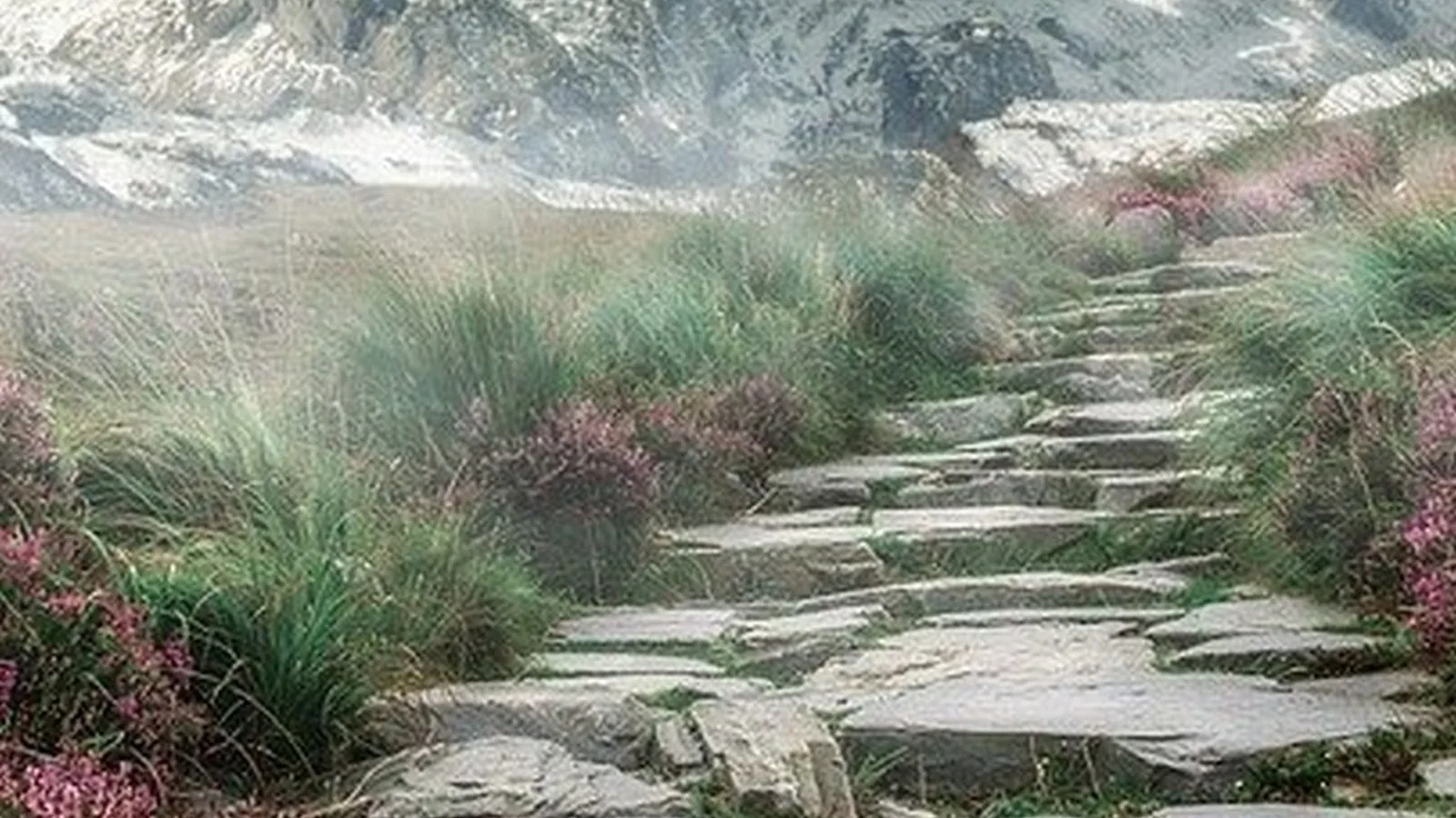 Natural stone surfaces considered for tableware